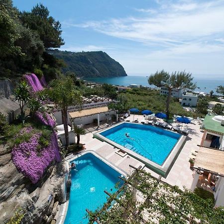 Hotel Villa Bianca Forio  Ngoại thất bức ảnh